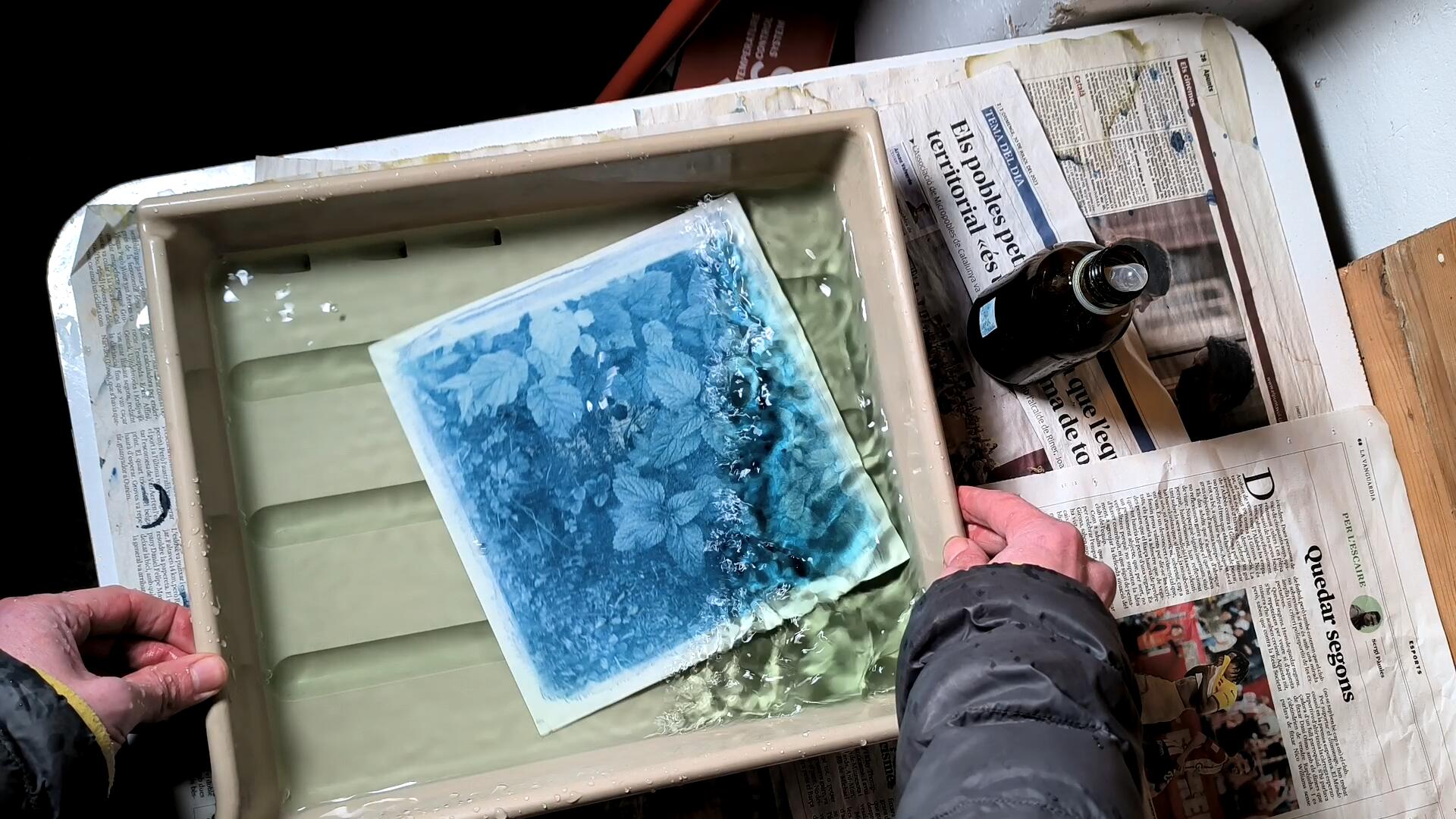 Procés de revelat de la cianotípia